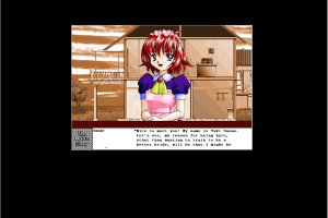 The Maid's Story abandonware