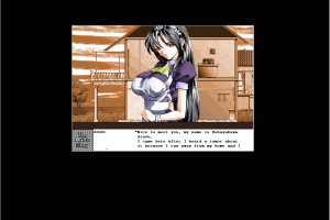 The Maid's Story 5