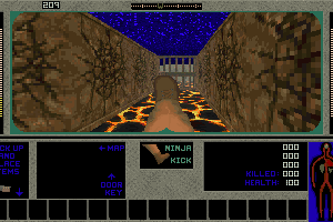 The Maze! abandonware