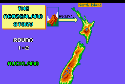The New Zealand Story 4