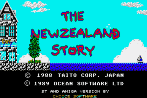 The New Zealand Story 0