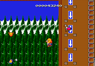 The new zealand story master system deals