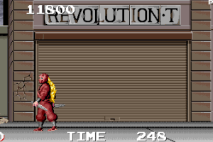 The Ninja Warriors 4