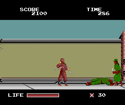 The Ninja Warriors abandonware