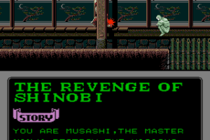 The Revenge of Shinobi 8