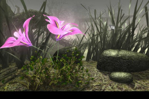 The Sacred Rings 8