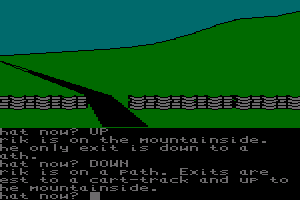 The Saga of Erik the Viking abandonware