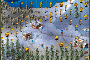 The Settlers II: Gold Edition 9