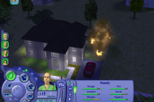 The Sims 2: FreeTime 3
