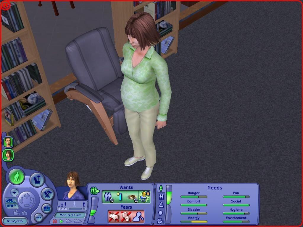 The Sims 2 e 3