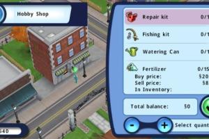 The Sims 3 15