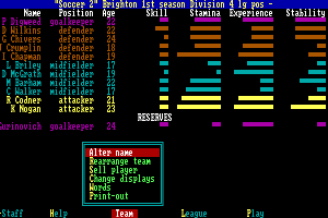 The Soccer Game II 4