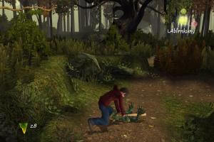 The Spiderwick Chronicles 13