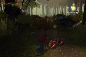 The Spiderwick Chronicles 14