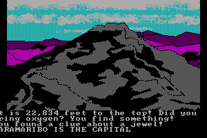 The Spy's Adventures in South America 4