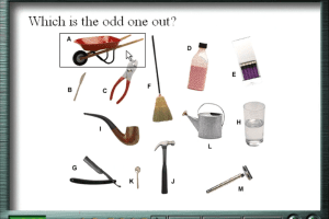The Ultimate IQ Test 8