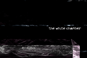 The White Chamber 8