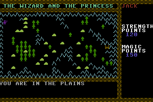 The Wizard and the Princess 1