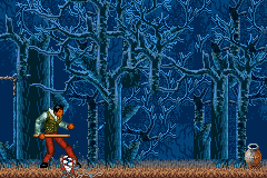 The Wolfman 13