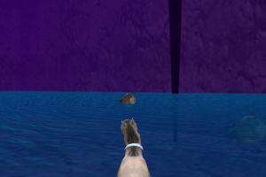 The Zoo Race 11