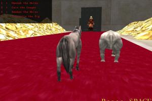 The Zoo Race 13
