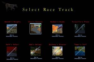 The Zoo Race 2