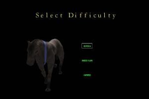 The Zoo Race 3