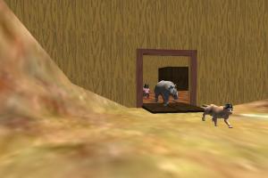 The Zoo Race 4