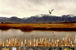 The Browning Duck Hunter 11