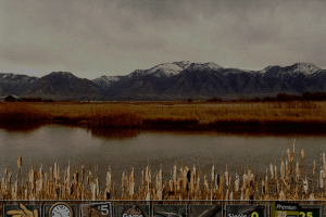 The Browning Duck Hunter 4