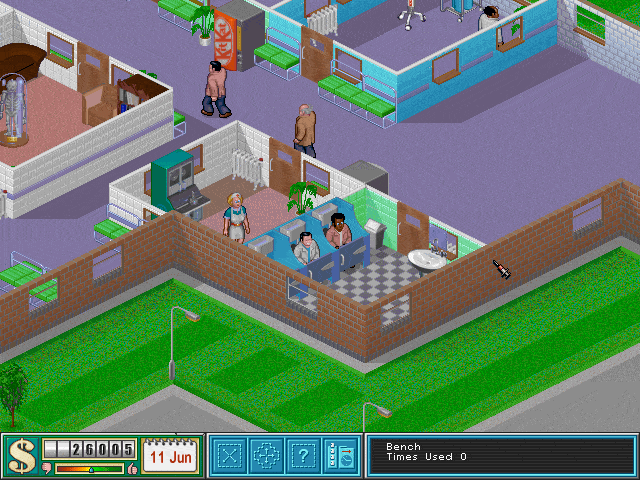 75% Theme Hospital on