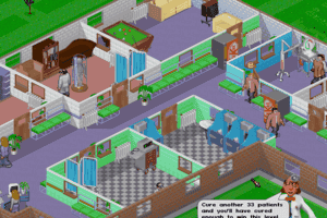 Theme Hospital 13