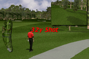 Tiger Woods 99 PGA Tour Golf 14