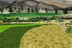 Tiger Woods PGA Tour 9