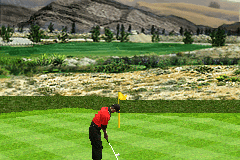 Tiger Woods PGA Tour 11