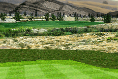 Tiger Woods PGA Tour 12