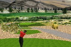 Tiger Woods PGA Tour 8