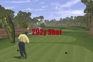 Tiger Woods PGA Tour 2000 2
