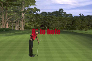 Tiger Woods PGA Tour 2000 5
