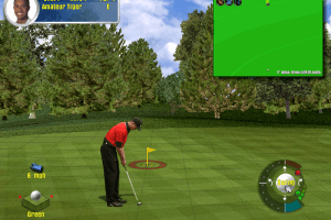 Tiger Woods PGA Tour 2001 4