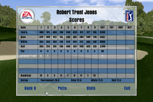 Tiger Woods PGA Tour 2001 5
