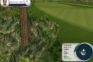 Tiger Woods PGA Tour 2002 9