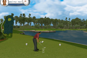 Tiger Woods PGA Tour 2002 15