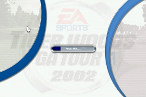 Tiger Woods PGA Tour 2002 2