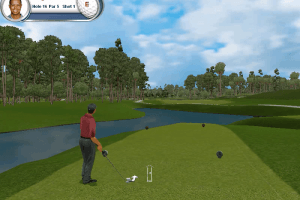 Tiger Woods PGA Tour 2002 3