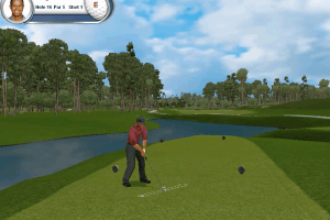 Tiger Woods PGA Tour 2002 4
