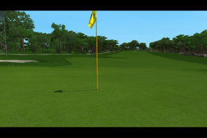 Tiger Woods PGA Tour 2003 22