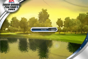 Tiger Woods PGA Tour 2003 2