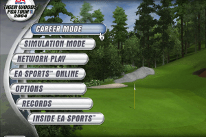 Tiger Woods PGA Tour 2004 0