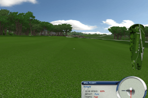 Tiger Woods PGA Tour 2004 16